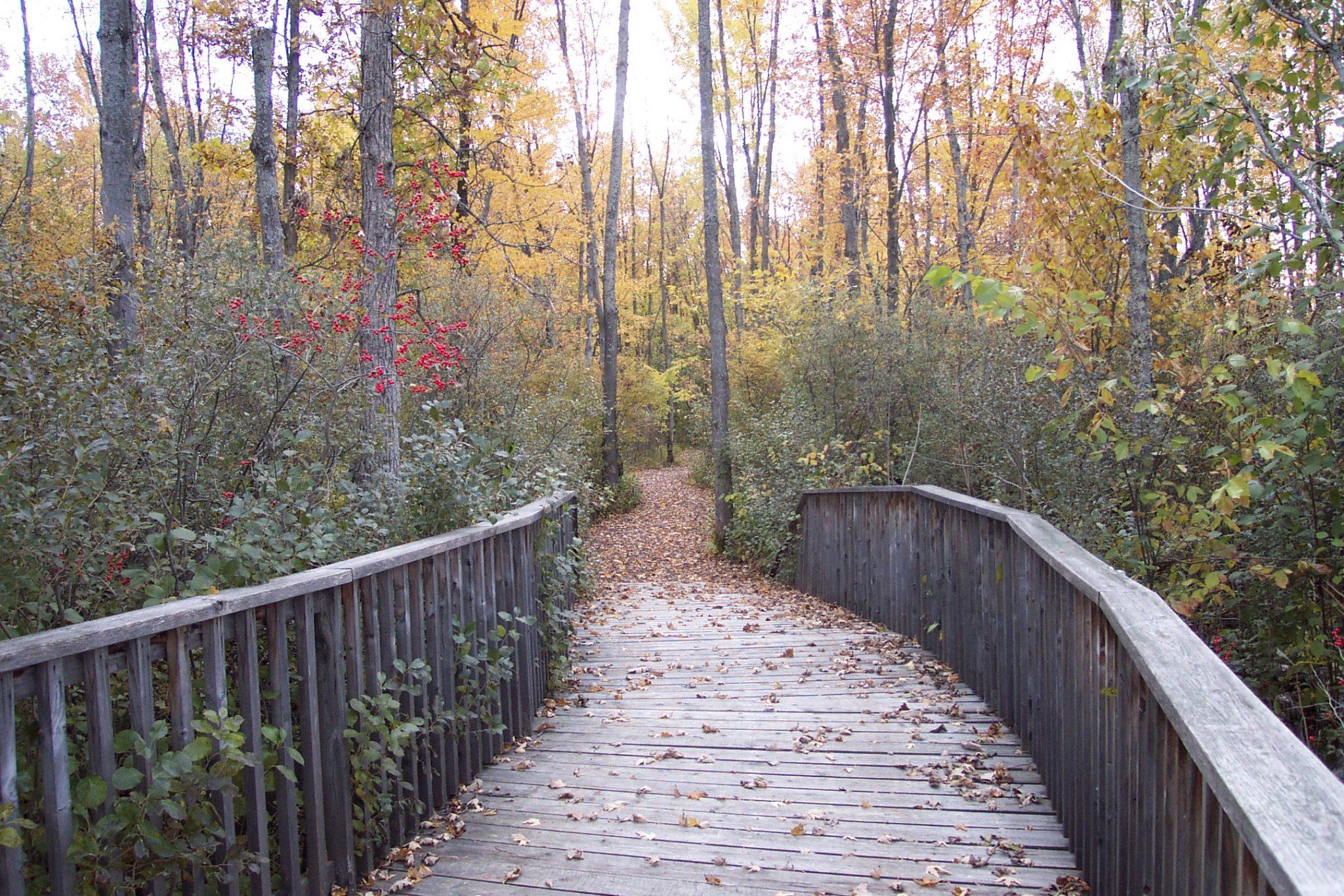Sturgeon River House Museum West Nipissing Ouest